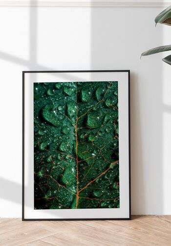 Affiche photographie feuille verte avec pots - 30 x 40 cm 6