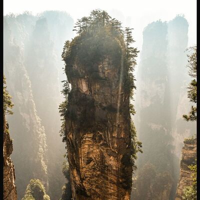 Photography poster overgrown rock - 30 x 40 cm