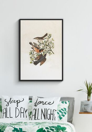 Affiche Vintage Illustration Oiseaux - 100 x 70 cm 6