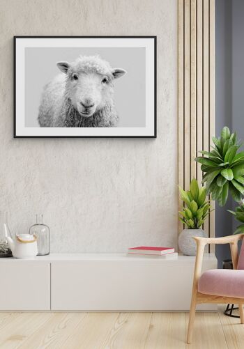 Affiche Portrait Moutons - 50 x 70 cm 6