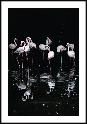 Affiche Flamingo Group - 30 x 40 cm 1