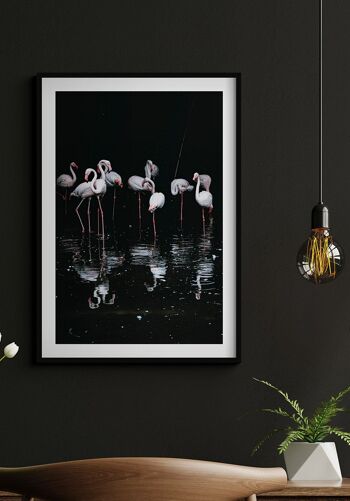 Affiche Flamingo Group - 30 x 40 cm 4