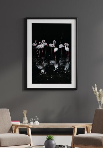 Affiche Flamingo Group - 30 x 40 cm 6