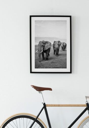Affiche troupeau d'éléphants noir et blanc - 21 x 30 cm 2