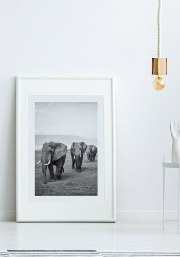 Affiche troupeau d'éléphants noir et blanc - 21 x 30 cm 4