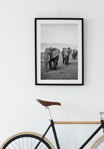 Affiche troupeau d'éléphants noir et blanc - 40 x 50 cm 2