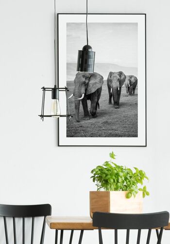 Affiche troupeau d'éléphants noir et blanc - 40 x 50 cm 3