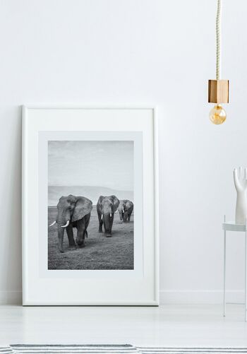 Affiche troupeau d'éléphants noir et blanc - 40 x 50 cm 4