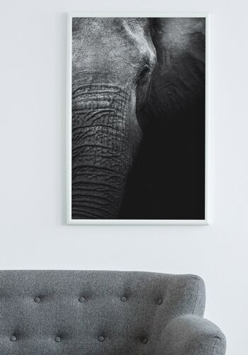 Affiche gros plan éléphant - 21 x 30 cm 5
