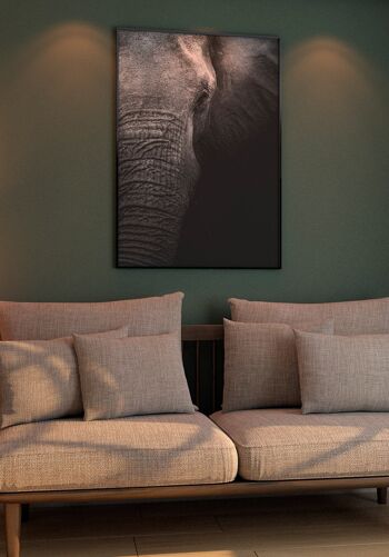 Affiche gros plan éléphant - 40 x 50 cm 2