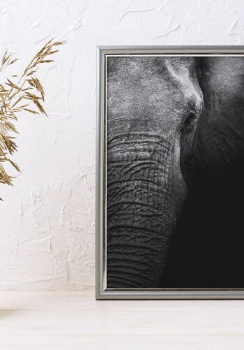 Affiche gros plan éléphant - 40 x 50 cm 3