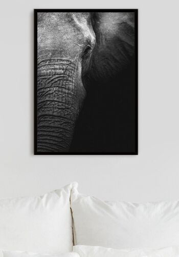 Affiche gros plan éléphant - 40 x 50 cm 4