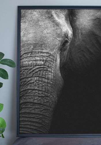 Affiche gros plan éléphant - 40 x 50 cm 6