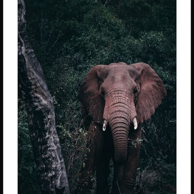 Elephants in the Green Poster - 21 x 30 cm