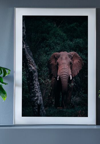 Affiche Éléphants dans la verdure - 21 x 30 cm 6