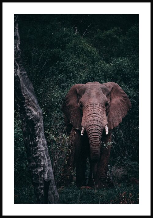 Elefanten im Grünen Poster - 30 x 40 cm