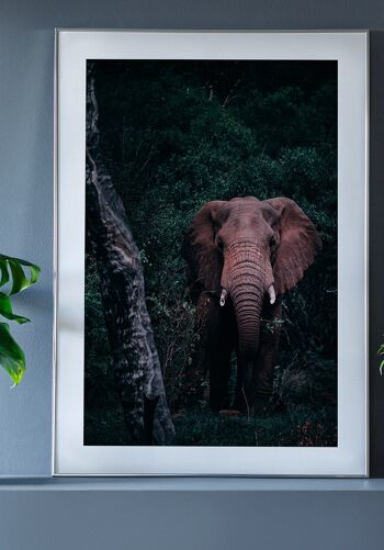 Affiche Éléphants dans la verdure - 30 x 40 cm 6