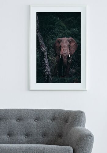 Affiche Éléphants dans la verdure - 40 x 50 cm 4