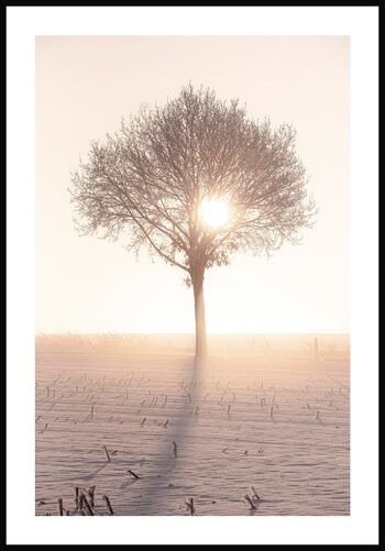Poster Photographie Arbre au soleil d'hiver - 30 x 40 cm 1