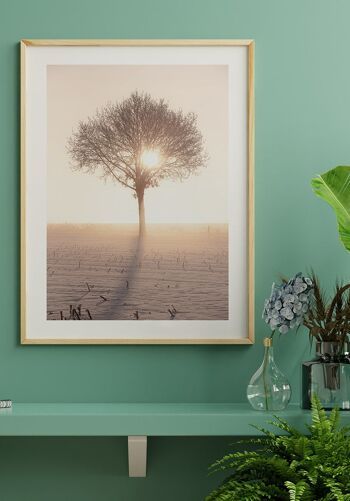 Poster Photographie Arbre au soleil d'hiver - 50 x 70 cm 4