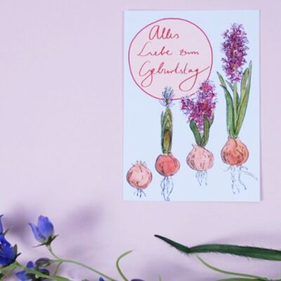 Postcard hyacinth