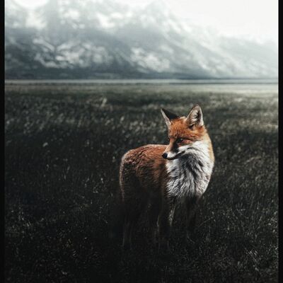 Fox in the Field Poster - 21 x 30 cm
