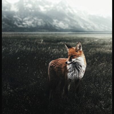 Fox in the Field Poster - 40 x 50 cm