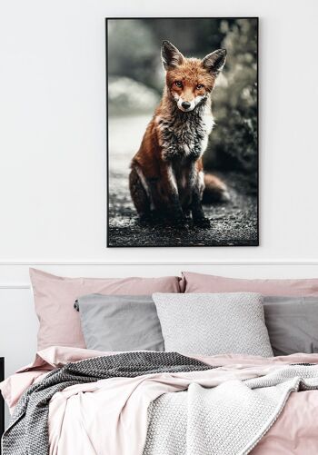 Affiche Renard roux dans la nature - 50 x 70 cm 4