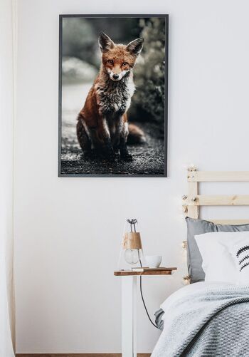 Affiche Renard roux dans la nature - 50 x 70 cm 5