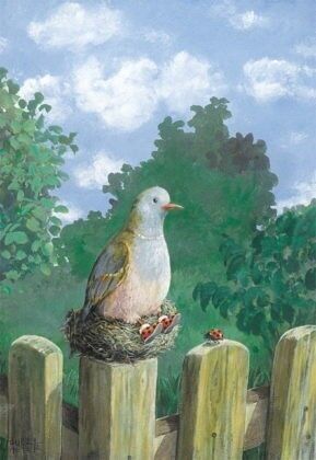 Inkognito-Grußkarten: 14753