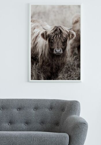 Affiche Highland Cattle - 21 x 30 cm 2