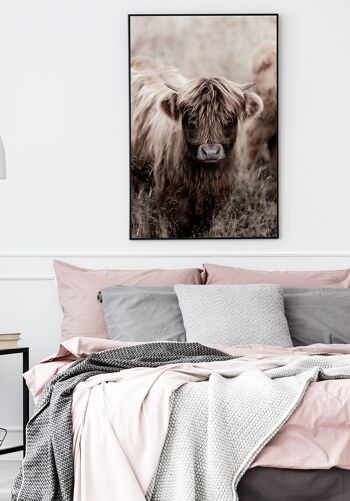 Affiche Highland Cattle - 21 x 30 cm 3