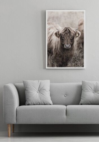 Affiche Highland Cattle - 21 x 30 cm 6