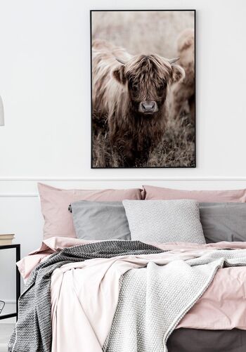 Affiche Highland Cattle - 30 x 40 cm 3