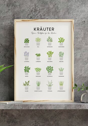 Affiche illustrée Herbes de cuisine (Allemand) - 30 x 40 cm 8