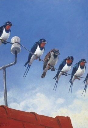 Inkognito-Grußkarten: 14757