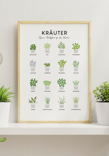 Affiche illustrée herbes de cuisine (allemand) - 70 x 100 cm 4