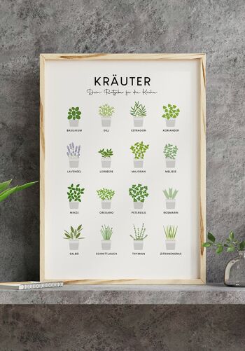 Affiche illustrée herbes de cuisine (allemand) - 70 x 100 cm 8