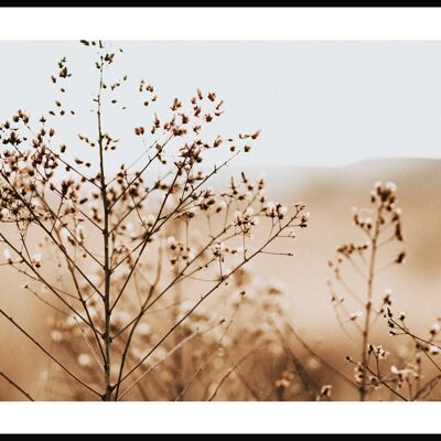 Brown Grasses on Meadow Poster - 21 x 30 cm