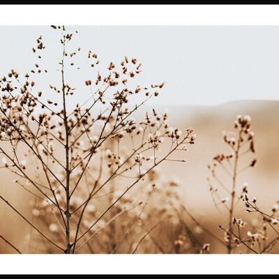 Affiche Herbes brunes sur prairie - 21 x 30 cm