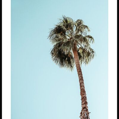 Photography poster palm tree in front of sky - 21 x 30 cm