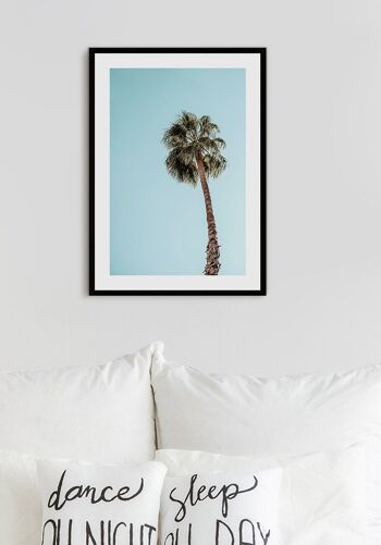 Affiche photographie palmier devant ciel - 21 x 30 cm 4