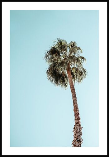 Affiche photographie palmier devant ciel - 30 x 40 cm 1