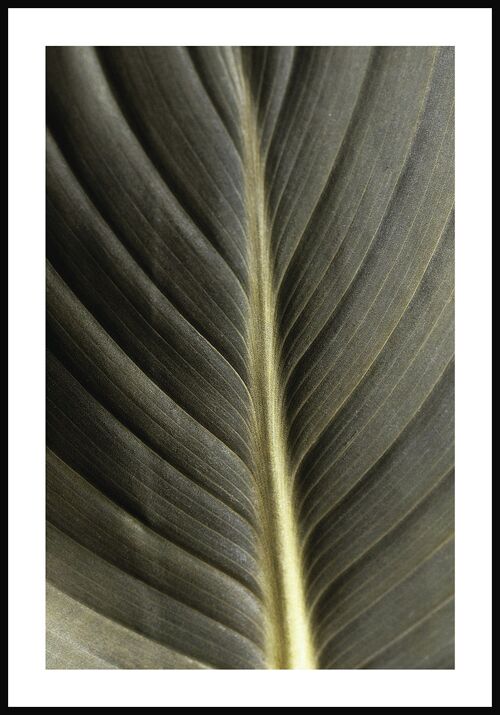 Grün-goldene Blatt-Fotografie - 21 x 30 cm