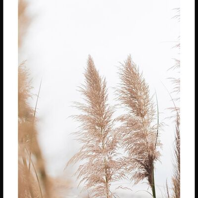 Farne im Wind Poster - 21 x 30 cm