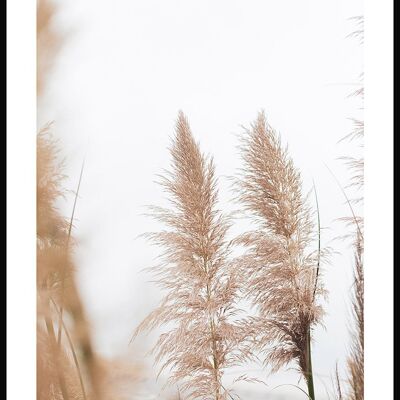 Ferns in the Wind Poster - 40 x 50 cm