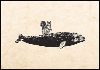 Affiche ancienne baleine et écureuil sur fond beige - 100 x 70 cm 1