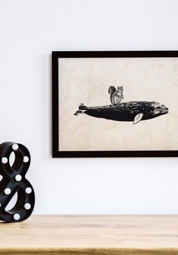 Affiche ancienne baleine et écureuil sur fond beige - 100 x 70 cm 4