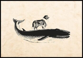 Affiche ancienne baleine et chien sur fond beige - 30 x 21 cm 1