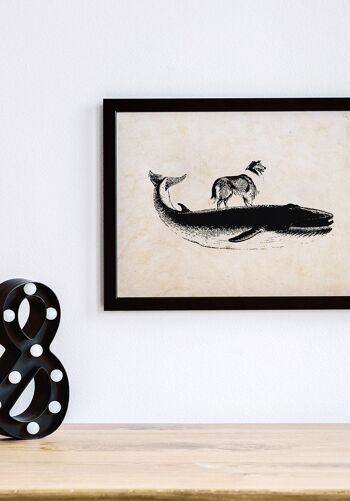 Affiche ancienne baleine et chien sur fond beige - 30 x 21 cm 5
